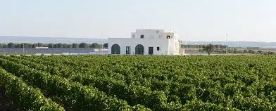 Семейная итальянская винодельня Casa Vitivinicola Tinazzi