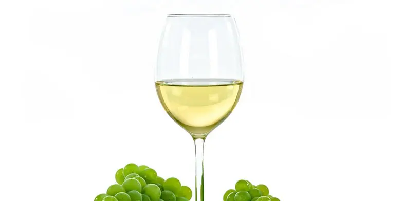 Sauvignon Blanc («Совиньон Блан»): звезда среди белых вин мира