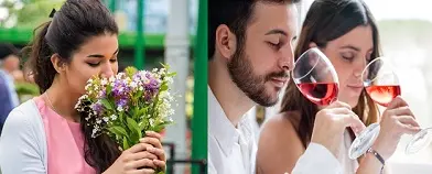 Как научиться чувствовать аромат вина? Памятка для начинающего сомелье